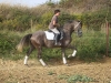 Besuch_Steff_Pferde 167